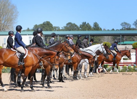 CHJA Town Hall & Colorado Horse Park Show Schedule Announced | Colorado